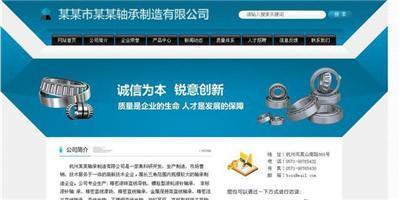 上海嘉定南翔网站建设 中小企业建站的实惠之选